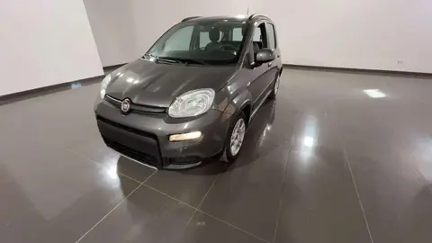 Used FIAT PANDA Hybrid 2023 Ad 