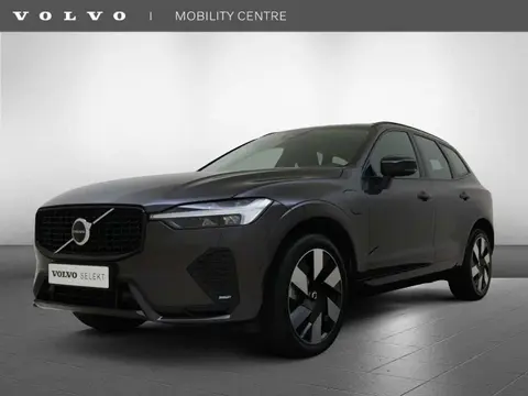 Annonce VOLVO XC60 Hybride 2024 d'occasion 