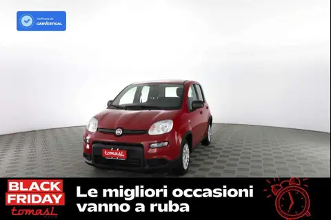 Used FIAT PANDA Hybrid 2024 Ad 