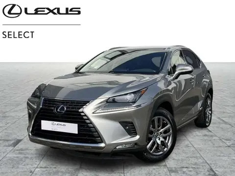 Used LEXUS NX Hybrid 2020 Ad 