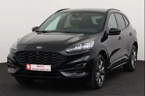 Used FORD KUGA Hybrid 2023 Ad 