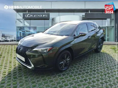 Annonce LEXUS UX  2021 d'occasion 