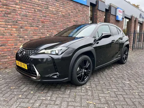 Used LEXUS UX Hybrid 2021 Ad 