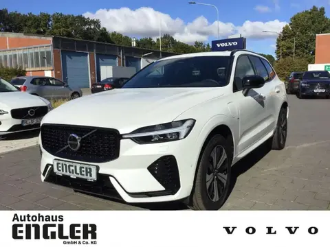 Used VOLVO XC60 Hybrid 2024 Ad 