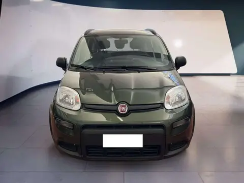 Annonce FIAT PANDA Hybride 2021 d'occasion 