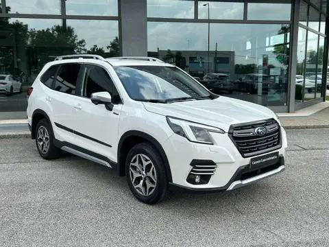 Annonce SUBARU FORESTER Hybride 2024 d'occasion 