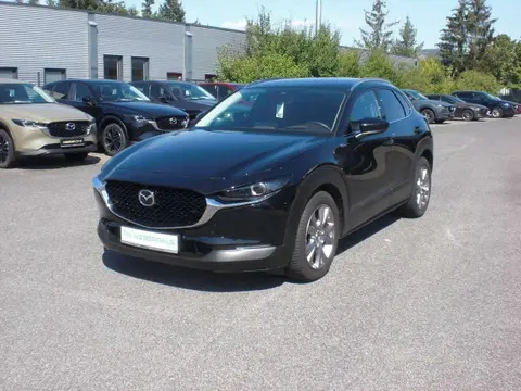 Annonce MAZDA CX-30 Essence 2019 d'occasion Allemagne