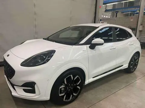 Annonce FORD PUMA Hybride 2024 d'occasion 