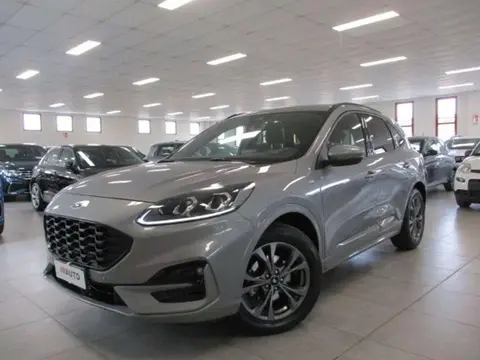 Annonce FORD KUGA Diesel 2021 d'occasion 