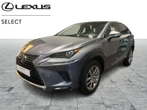 Used LEXUS NX Hybrid 2019 Ad 