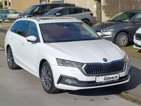 Used SKODA OCTAVIA Hybrid 2020 Ad 