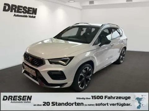 Used CUPRA ATECA Petrol 2023 Ad 