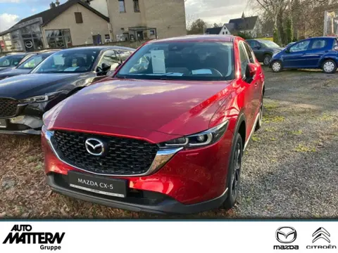 Annonce MAZDA CX-5 Essence 2024 d'occasion 