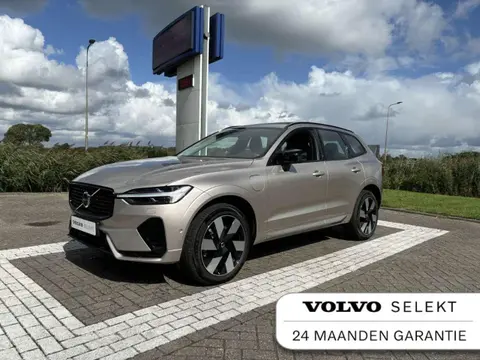 Used VOLVO XC60 Hybrid 2024 Ad 