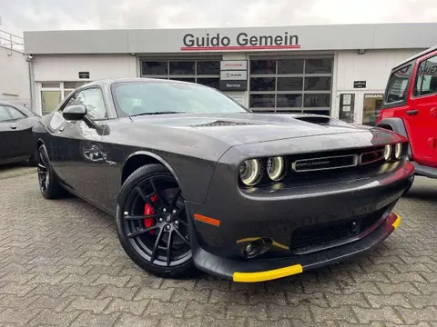 Annonce DODGE CHALLENGER Essence 2024 d'occasion 