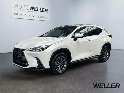 Used LEXUS NX Hybrid 2024 Ad 