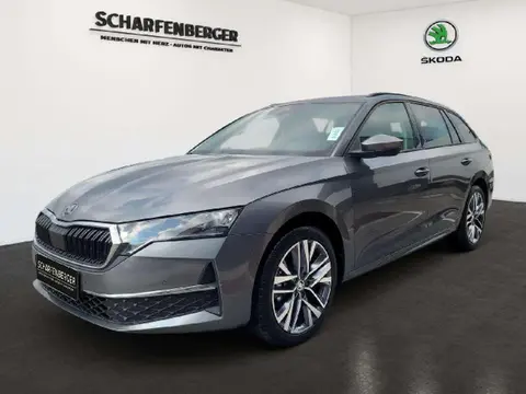 Annonce SKODA OCTAVIA Diesel 2024 d'occasion 