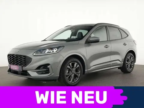 Used FORD KUGA Petrol 2023 Ad 