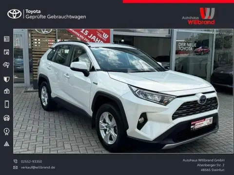 Used TOYOTA RAV4 Hybrid 2019 Ad Germany