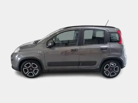 Used FIAT PANDA Hybrid 2021 Ad 