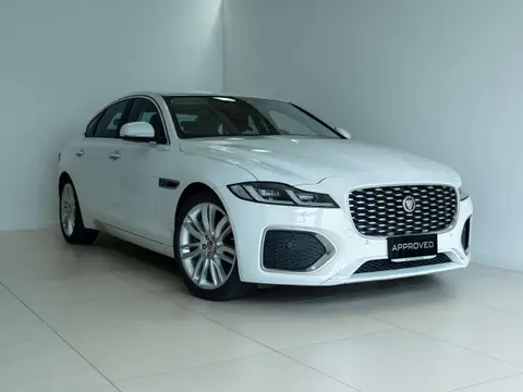 Used JAGUAR XF Hybrid 2023 Ad 