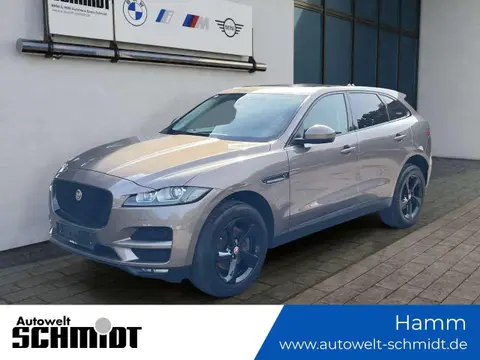 Annonce JAGUAR F-PACE Diesel 2017 d'occasion 