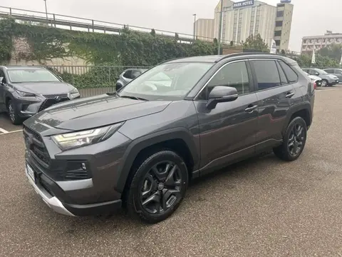 Used TOYOTA RAV4 Hybrid 2023 Ad 