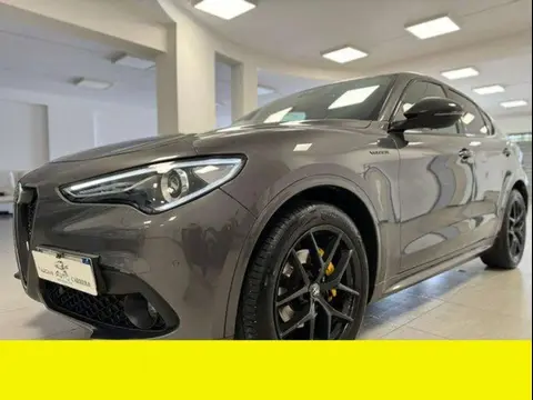 Used ALFA ROMEO STELVIO Diesel 2020 Ad 