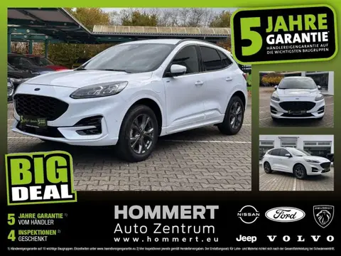 Used FORD KUGA Hybrid 2021 Ad 