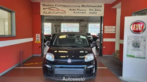 Used FIAT PANDA Hybrid 2024 Ad 