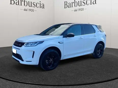 Used LAND ROVER DISCOVERY Hybrid 2019 Ad 