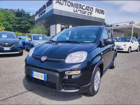 Used FIAT PANDA Hybrid 2024 Ad 