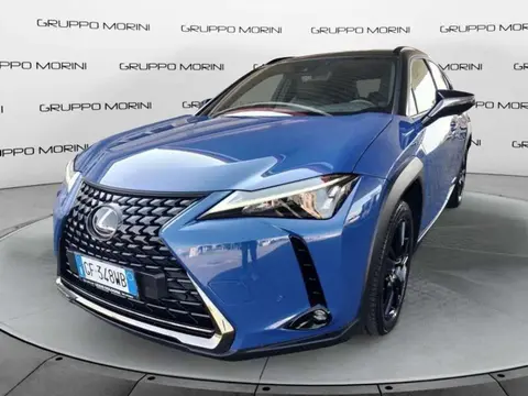 Annonce LEXUS UX Hybride 2021 d'occasion 