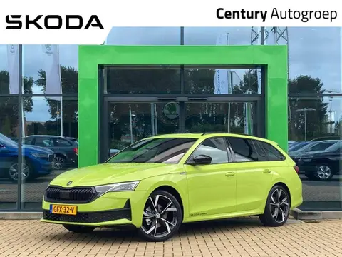 Used SKODA OCTAVIA Hybrid 2024 Ad 