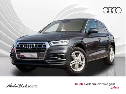 Used AUDI Q5 Hybrid 2021 Ad 