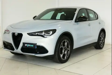 Used ALFA ROMEO STELVIO Diesel 2023 Ad 