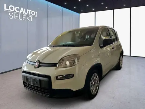 Annonce FIAT PANDA Hybride 2022 d'occasion 