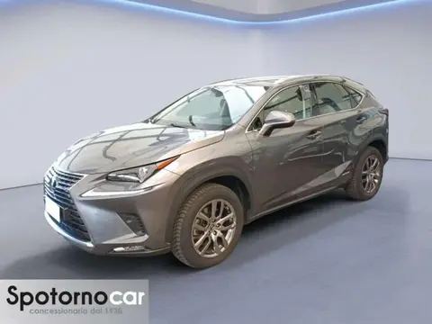 Used LEXUS NX Hybrid 2020 Ad 