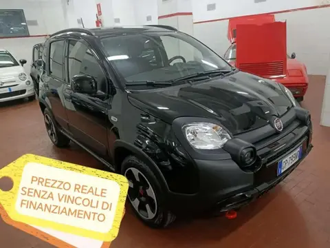 Annonce FIAT PANDA Hybride 2023 d'occasion 