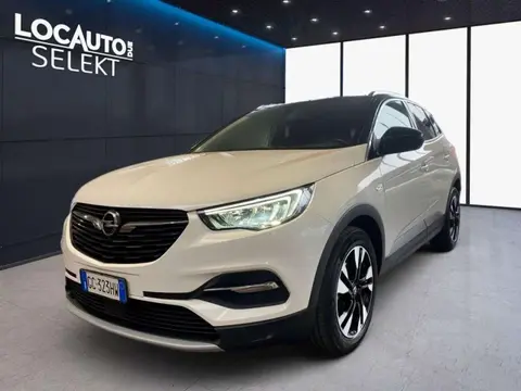 Used OPEL GRANDLAND Petrol 2020 Ad 