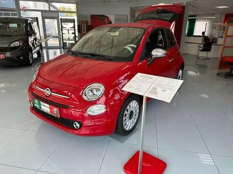 Used FIAT 500 Petrol 2023 Ad 