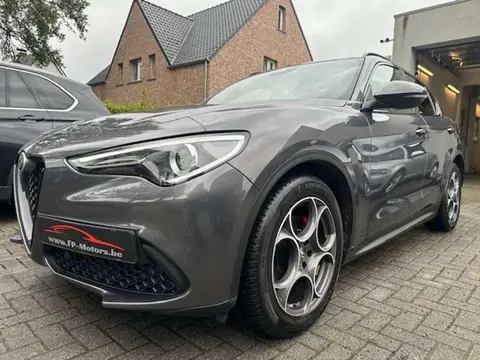 Used ALFA ROMEO STELVIO Diesel 2019 Ad 