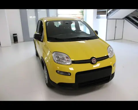 Annonce FIAT PANDA Hybride 2024 d'occasion 