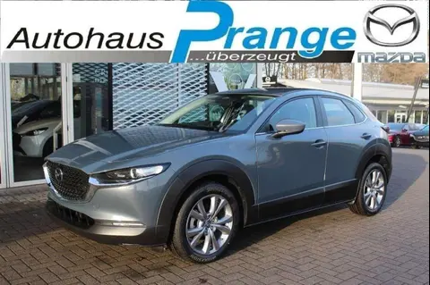 Used MAZDA CX-30 Petrol 2024 Ad Germany