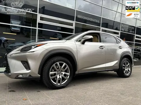 Annonce LEXUS NX Hybride 2019 d'occasion 