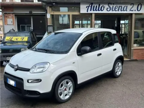 Used FIAT PANDA Hybrid 2024 Ad 