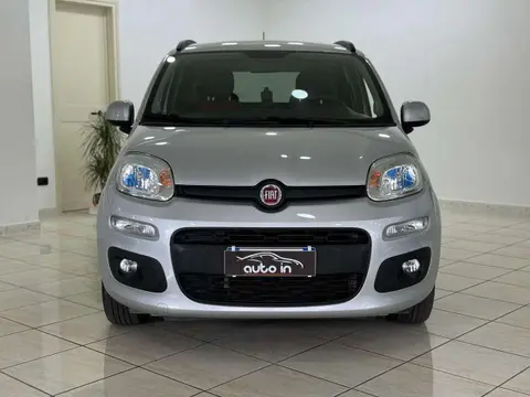 Used FIAT PANDA LPG 2019 Ad 