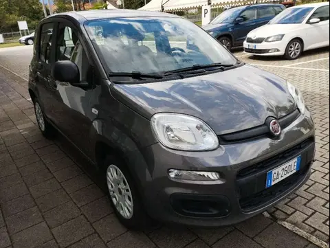 Used FIAT PANDA Petrol 2020 Ad 