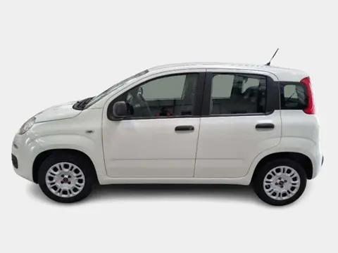 Annonce FIAT PANDA Essence 2020 d'occasion 