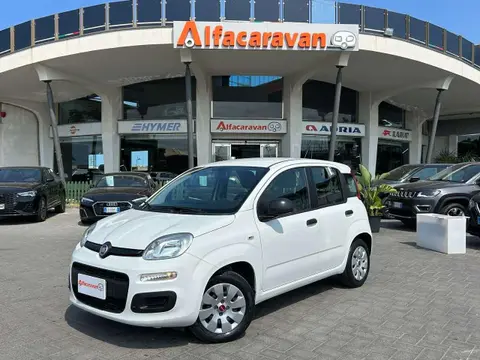 Used FIAT PANDA Petrol 2014 Ad 